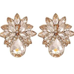 Champagne- Womens Earrings